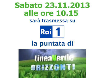 Immagine: 20131120_4x3_raiuno1359