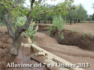 Immagine: 20140206_alluvione20131271