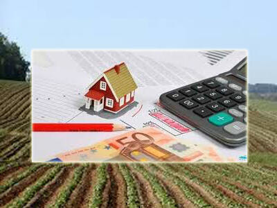 Immagine: 20141128imuagricola1111