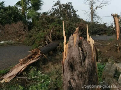 Immagine: 20141222trombadaria1093