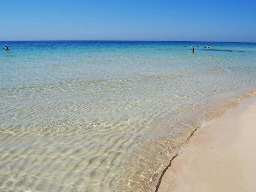 Immagine: 25278891_c615c1015