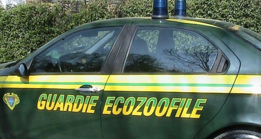 Immagine: 4166365_3fb5e7_830x444353