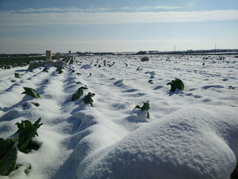 Immagine: 426031771_139635_3475143302809729239815