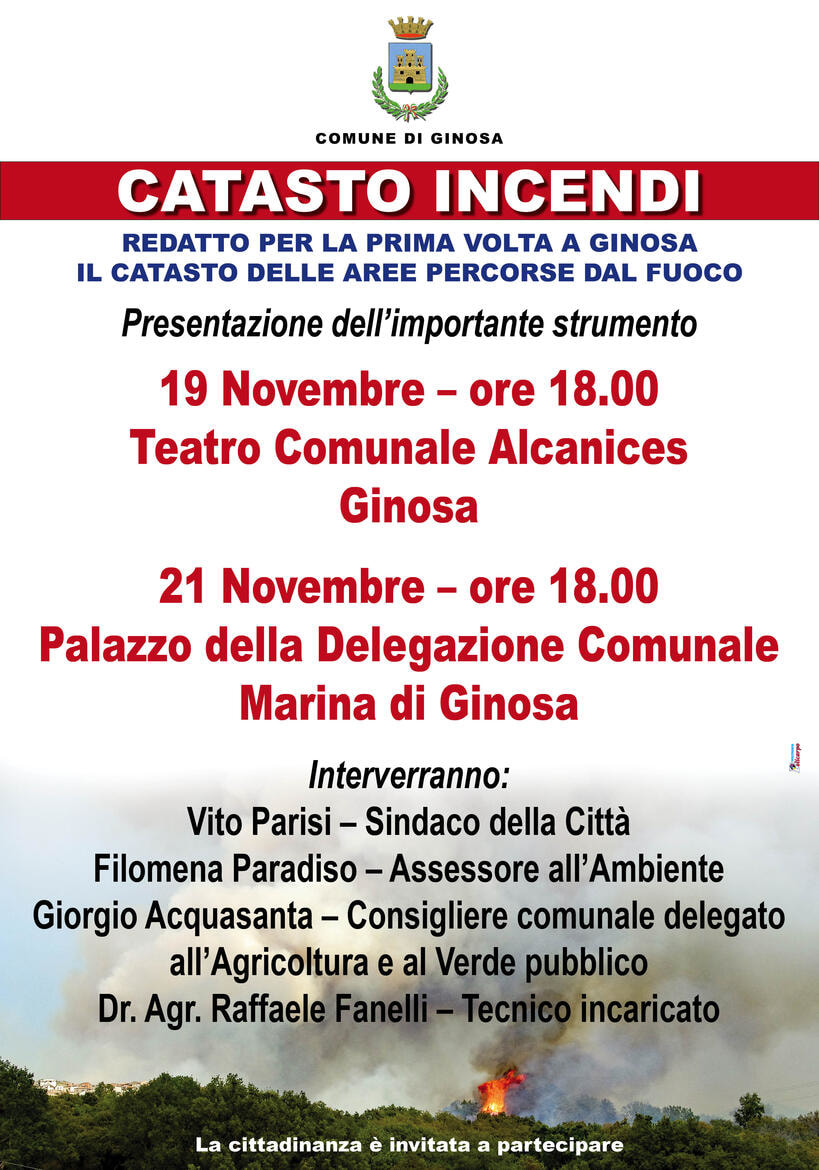 Immagine: catasto_incendi522