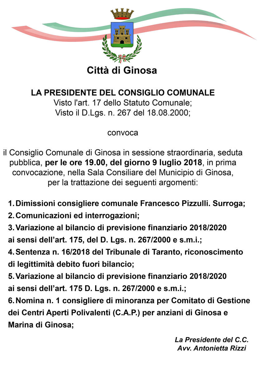 Immagine: CONSIGLIO_COMUNALE_9.07.2018574