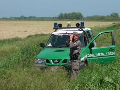 Immagine: corpo-forestale1327
