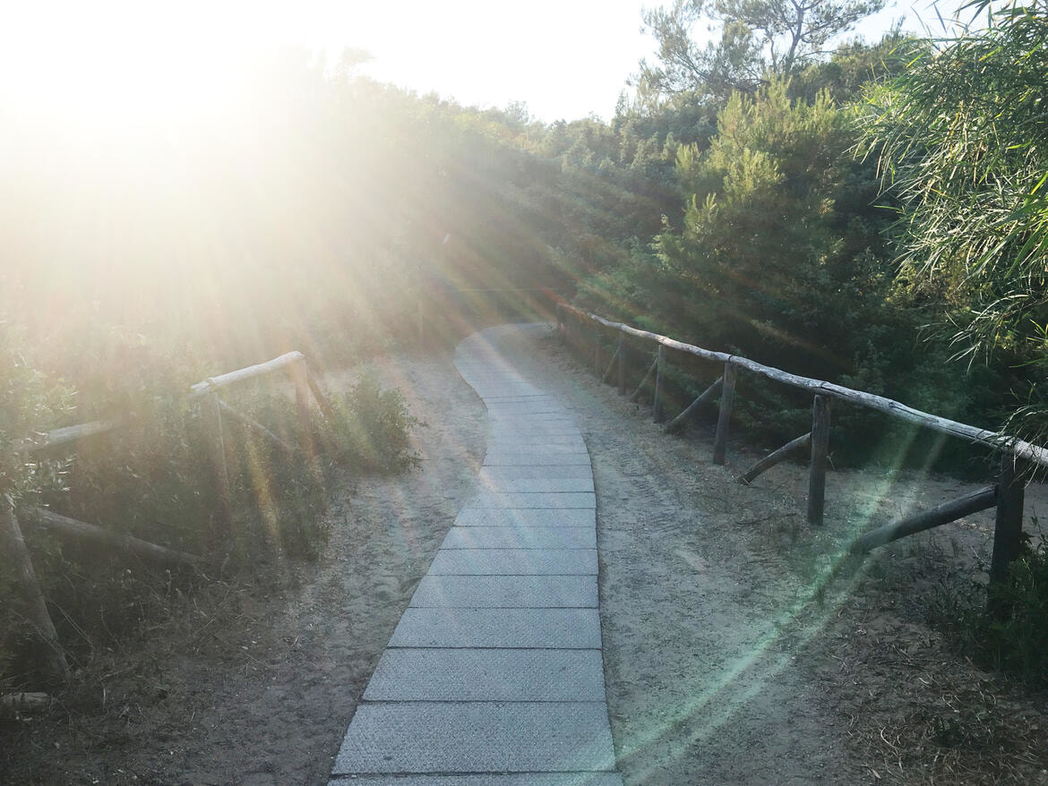 Immagine: IMG_2394_1739