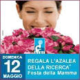 Immagine: l'AZALEA DELLA RICERCA