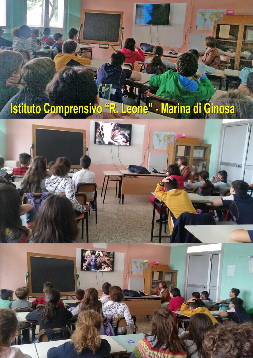 Immagine: leone_2017.10.11680