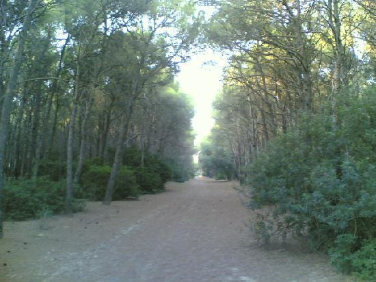 Immagine: marina-di-ginosa-la-splendida752