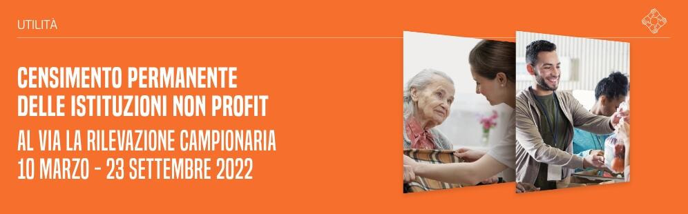 Immagine: NON-PROFIT-Censimento-permanente-wide134