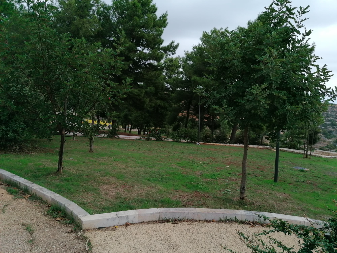 Immagine: Parco_BP242