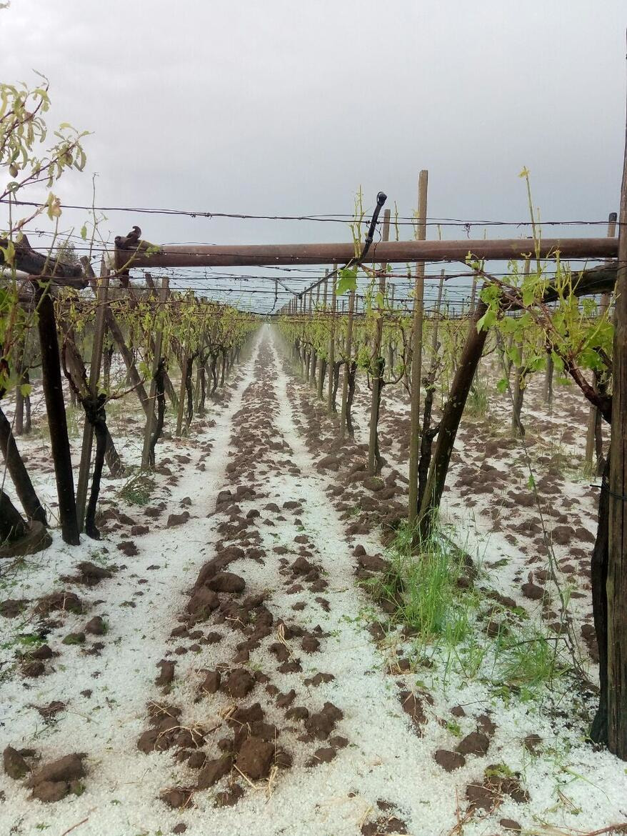 Immagine: photo5962997981357650096474