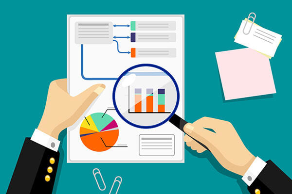 Immagine: RILEVAZIONE STATISTICA