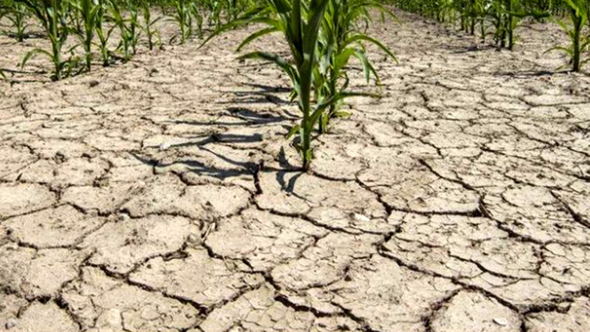 Immagine: siccitA-463