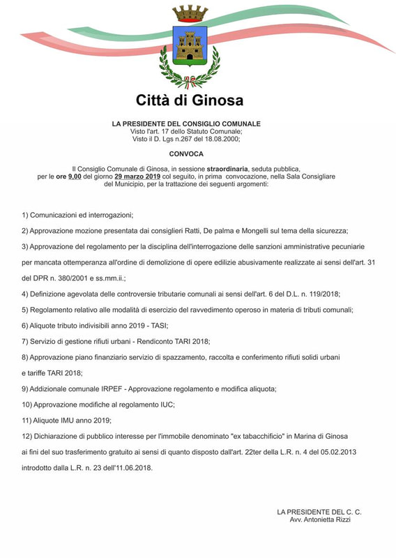 Immagine: 2019.03.29_consiglio_comunale493