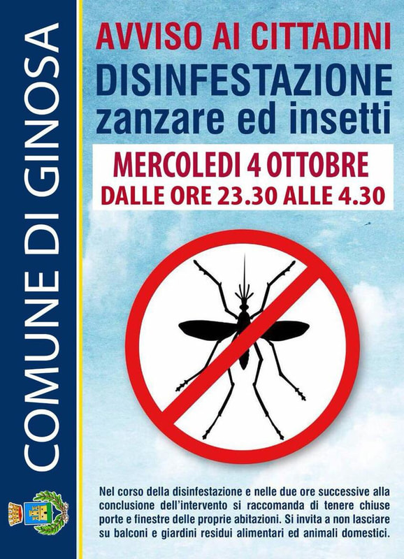 Immagine: 22136959_794890357364469_2071020289696750422_o684