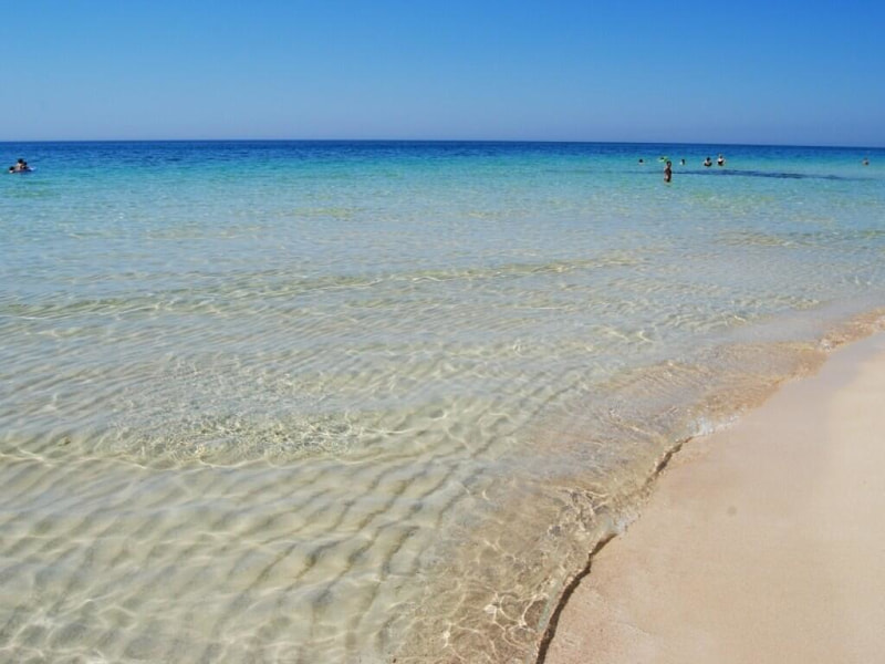 Immagine: 25278891_c615c1015