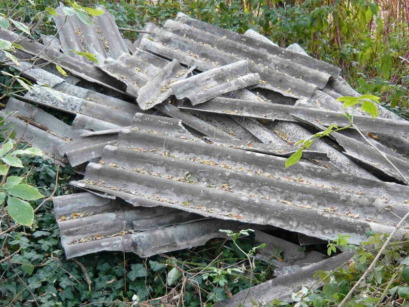 Immagine: 32912_01786