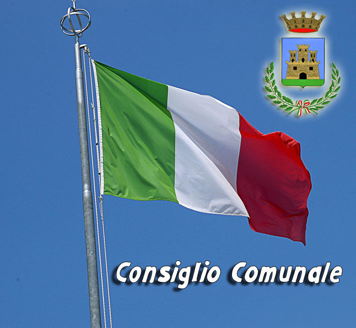 Immagine: Consiglio.Comunale.2017.05.29606