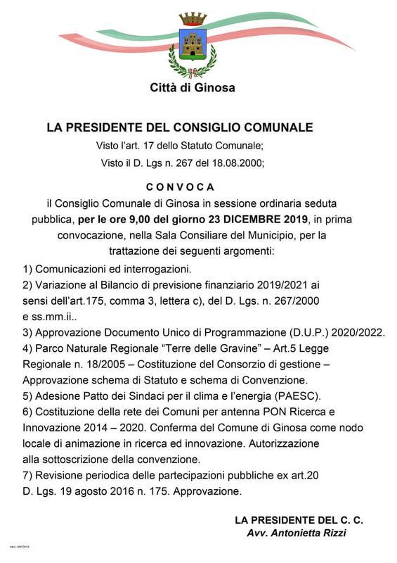 Immagine: CONSIGLIO_COMUNALE_23_DICEMBRE_2019391