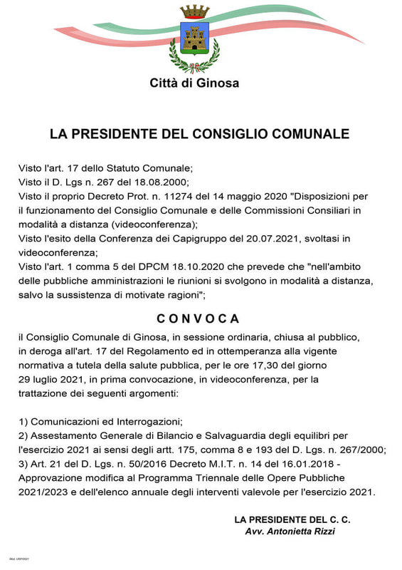 Immagine: CONSIGLIO_COMUNALE_29_luglio_2021_225