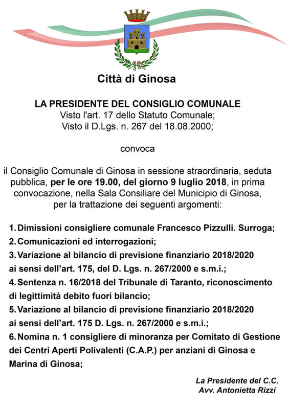 Immagine: CONSIGLIO_COMUNALE_9.07.2018574