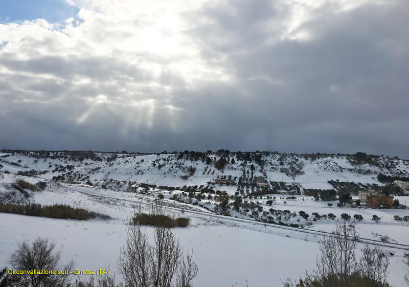 Immagine: IMG_6748_copia829