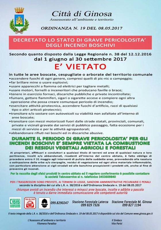 Immagine: Ordinanza_n19_incedi_boschivi760