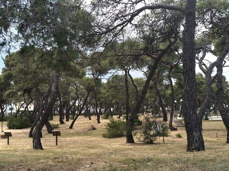 Immagine: Parco_Comunale_Marina_di_Ginosa472