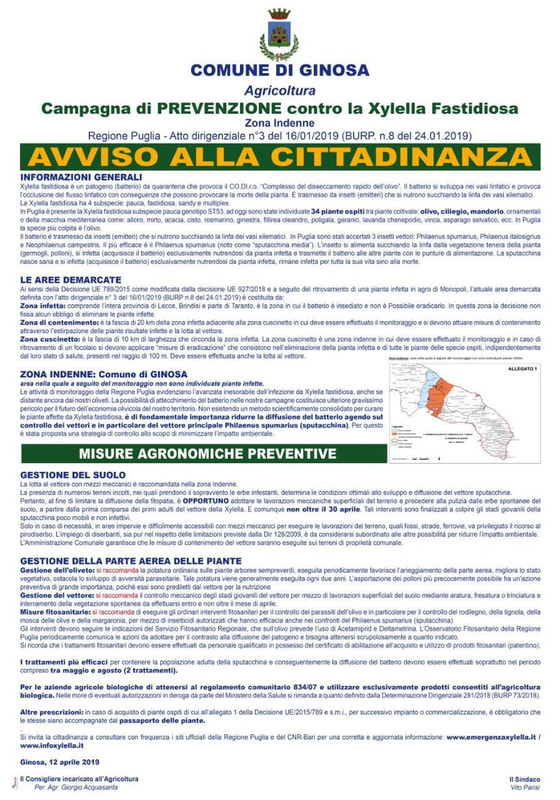 Immagine: photo5881712555594985332488