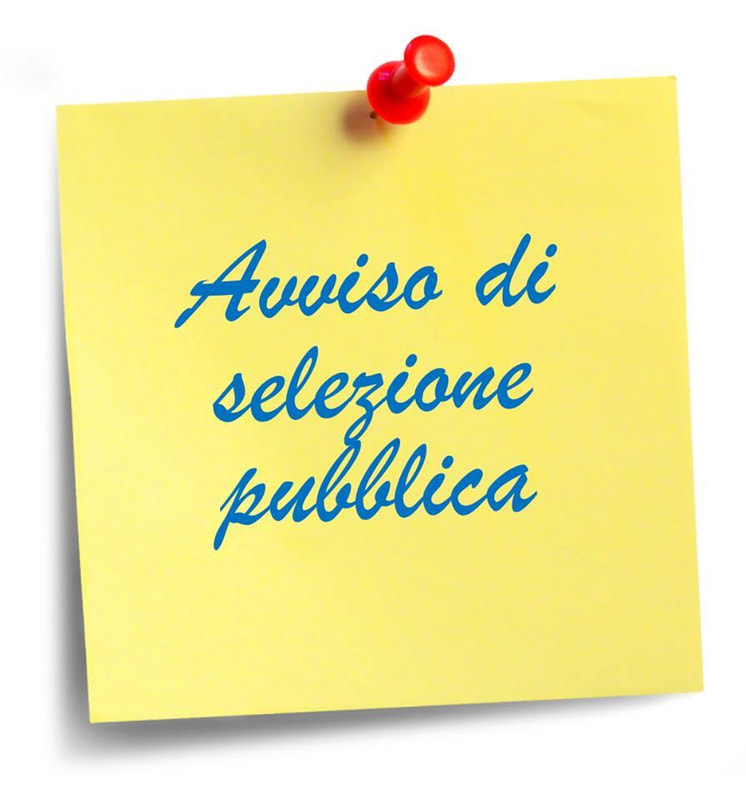 Immagine: selezione_pubblica86