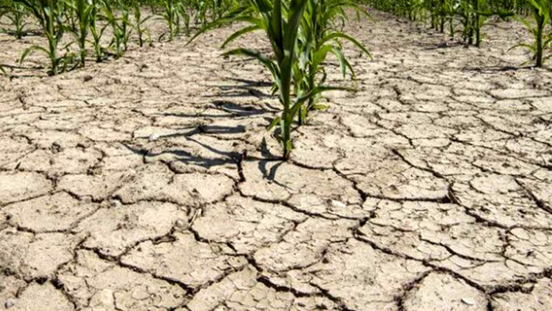 Immagine: siccitA-463