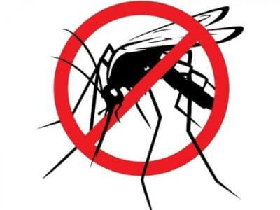 Immagine: disinfestazione_antialare530